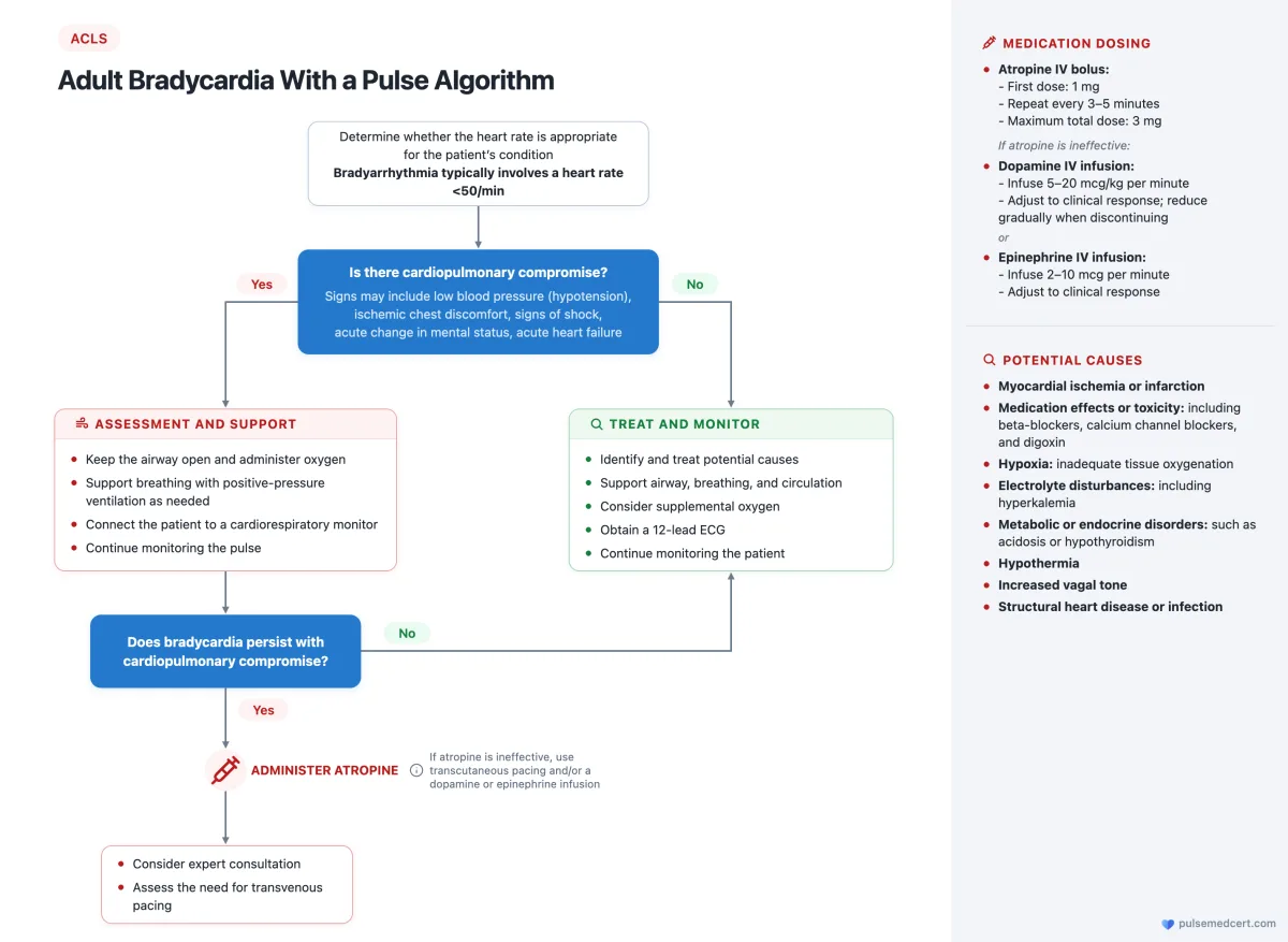 ACLS Adult Bradycardia With a Pulse Algorithm flowchart