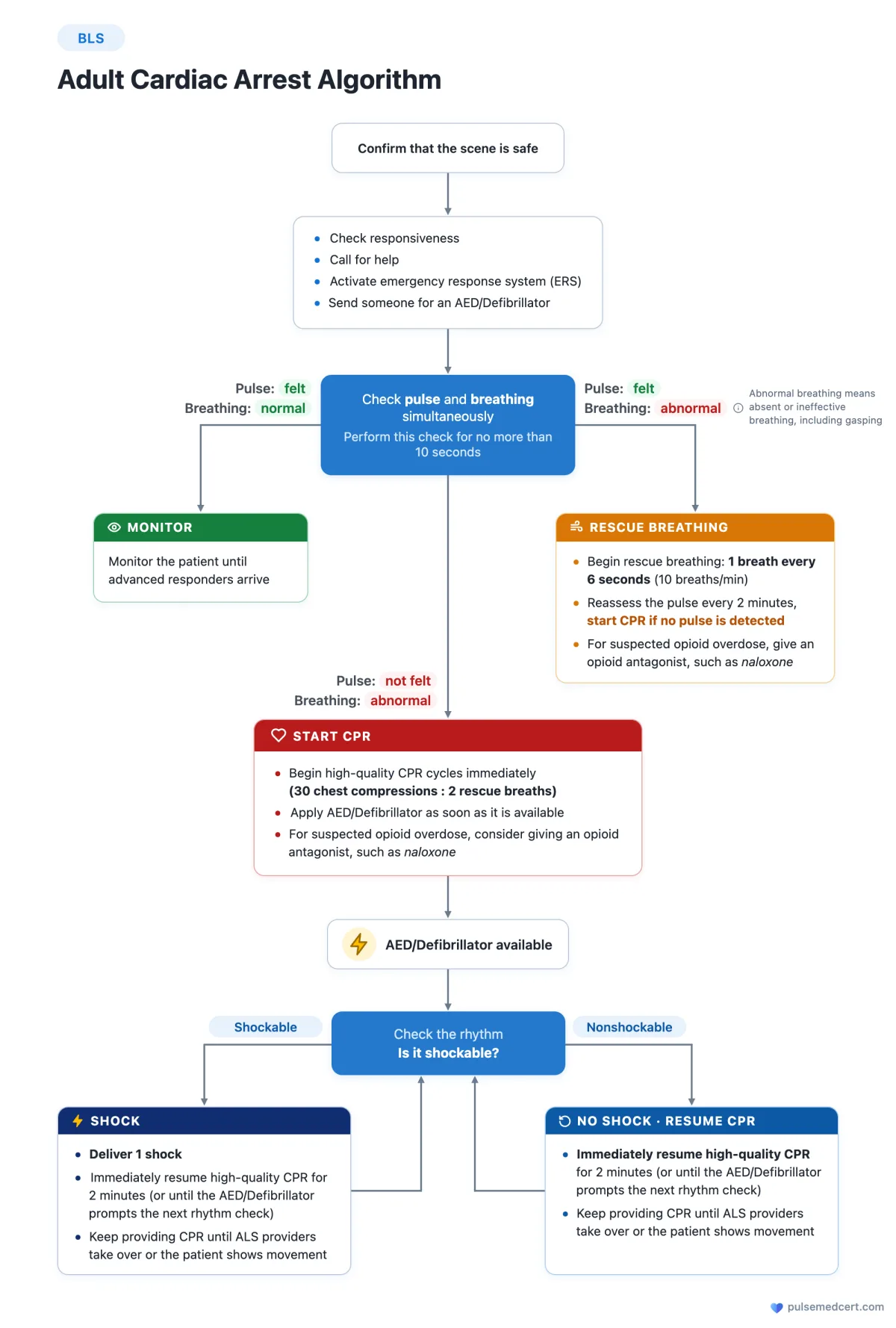 BLS Adult Cardiac Arrest Algorithm flowchart