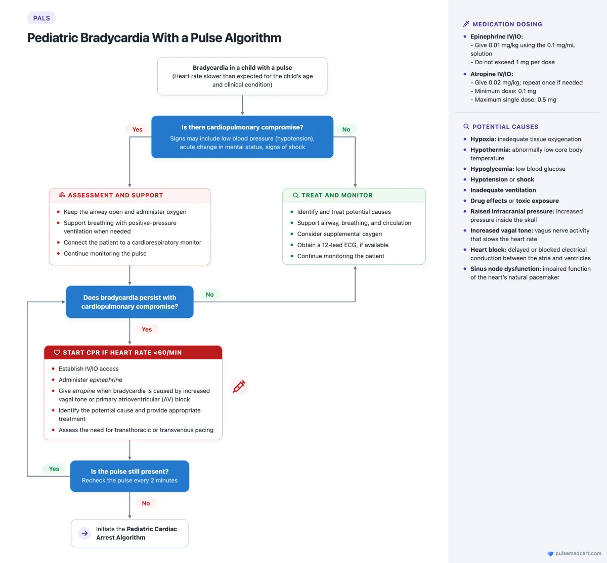 PALS Pediatric Bradycardia With a Pulse Algorithm flowchart